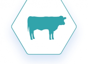 Identifying the top surveillance issues relevant to the Canadian beef sector  / Quels sont les principaux problèmes de surveillance dans le secteur canadien du bœuf